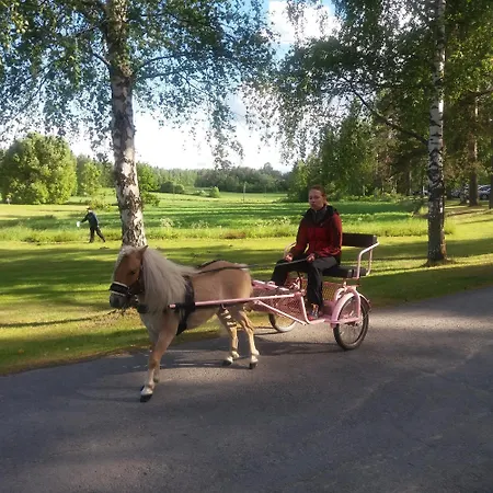 Отель Hotelli Heimari Heimari