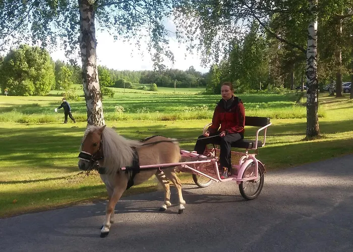 Hotel Hotelli Heimari Heimari